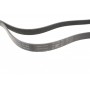 Ремінь генератора Chevrolet Lacetti/Nubira 2.0D 05-/Honda Civic IX 1.6/1.8 i-VTEC 11-16