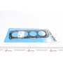 Прокладка ГБЦ Opel ASTRA F (T92) 1.7 D/TD (F19, M19) 92-98