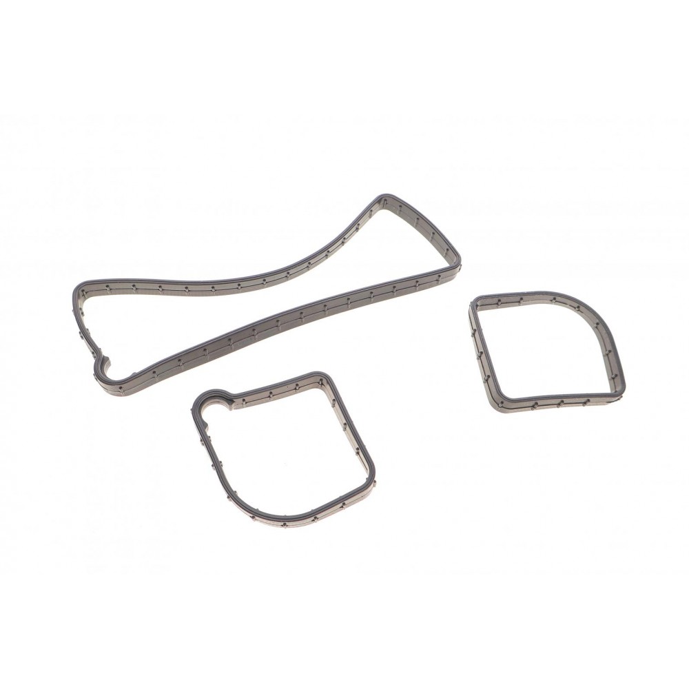Прокладка кришки клапанів Ford Focus/Mondeo 2.0 ST/SCTi 10- (к-кт)