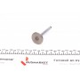 Клапан (впуск) VW Caddy/T3 1.6D/1.7D 81-92 (34x8x104.9) (азотований)