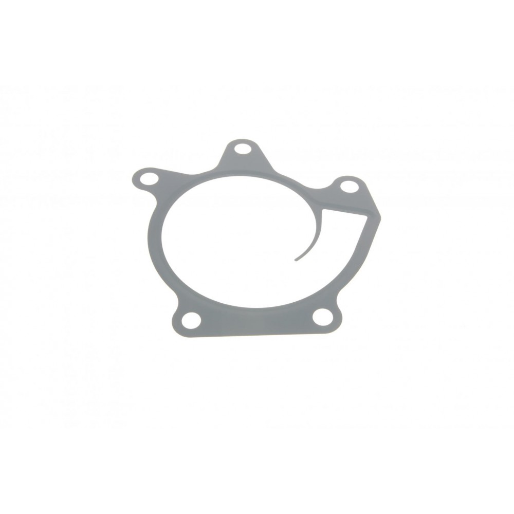 Прокладка помпи води Nissan Qashqai/X-Trail/Renault Espace V/Megane IV 1.6/2.0 10-