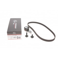 Комплект ГРМ Mazda 2/Ford Fiesta/Focus/Volvo S40/V50 1.25i-1.6 16V 95- (22x117z)
