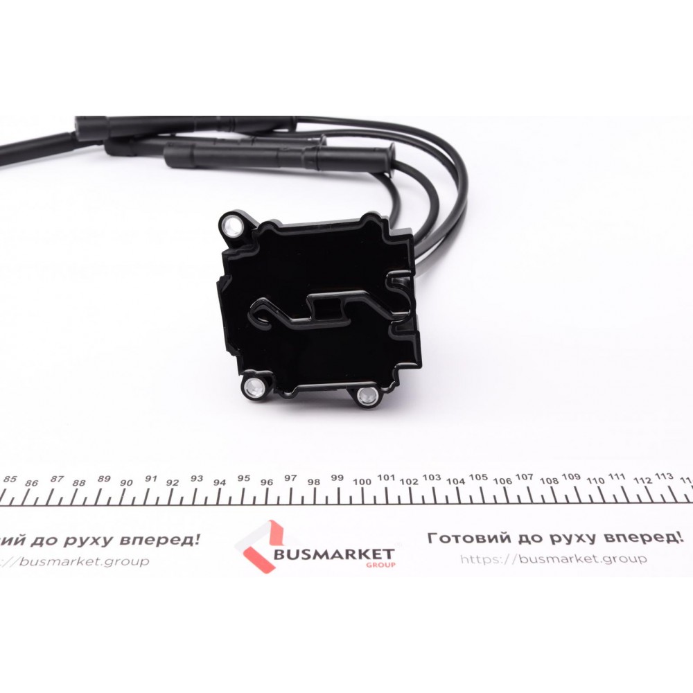 Котушка запалювання Renault Kangoo 1.2 16V 01- (к-кт) (+ проводи запалювання)