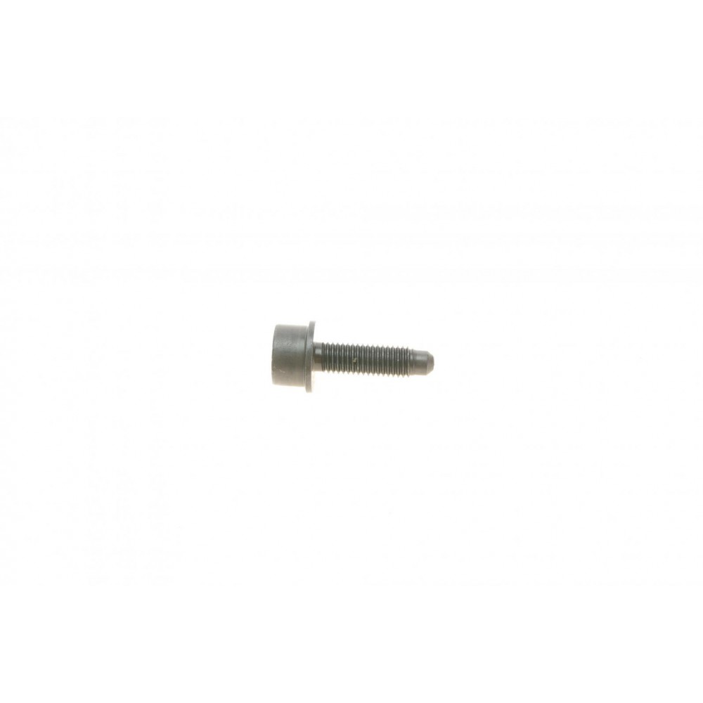 Болт насоса масляного BMW 3 (F30/F31/F34/F35)/5 (F10/F11/F18)/X3 (F25) 11- N20/N26