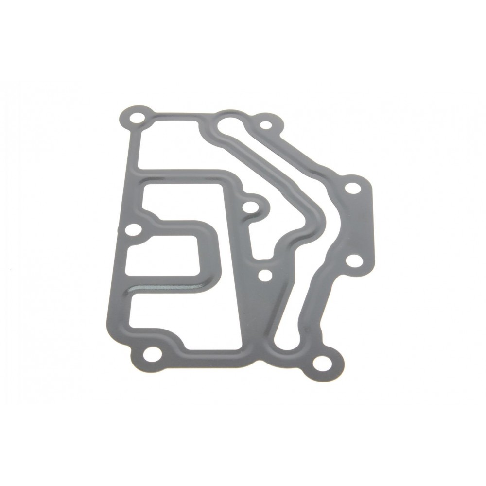 Прокладка термостата Renault Kangoo 1.6 16V 01-