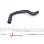 Патрубок радіатора Audi A3/Skoda Octavia I/VW Bora/Golf IV 1.6-2.0 96-13