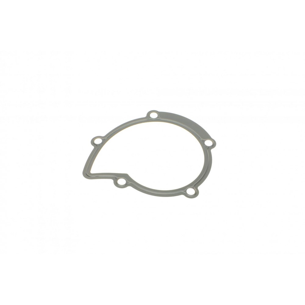 Прокладка помпи води Citroen Jumper/Jumpy/Peugeot Boxer/Expert 2.0/2.2 HDi 02-