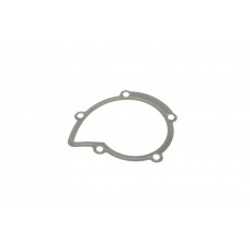 Прокладка помпи води Citroen Jumper/Jumpy/Peugeot Boxer/Expert 2.0/2.2 HDi 02-