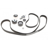 Комплект ГРМ VW Passat/Audi A4/A6/A8 2.5TDI 97-06 (30x207z/24x87z)