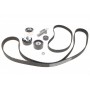 Комплект ГРМ VW Passat/Audi A4/A6/A8 2.5TDI 97-06 (30x207z/24x87z)