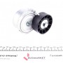 Натяжник ременя генератора Fiat Scudo/Peugeot Boxer/Partner 2.0-2.2HDI 99-