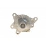 Помпа води Renault Trafic/Scenic/Megane/Opel Vivaro/Nissan Qashqai/X-Trail/MB Vito (W447) 1.6D 11-