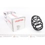 Пружина (задня) Fiat Doblo/Opel Combo 1.4/1.3D-2.0D/CDTI 10- (кор.база) (Opel не для підвищ.нагр)