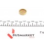 Заглушка блоку циліндрів (d=21mm) Латунь/Brass