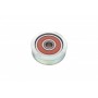 Ролик генератора Suzuki Swift 1.3/1.5 05- (паразитний) (58х13)