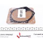 Помпа води Renault Megane/Laguna/Scenic/Nissan Primera 1.9 dCi 02- (B/B Ext.) (10 лоп) (покращена)