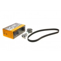 Комплект ГРМ Audi A4/A6/VW Passat1.8/1.8T 94-05 (25x153z)