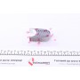 Вкладиші шатунні VW Caddy 1.4i/1.6i (STD) = 6150510000