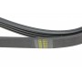 Ремінь генератора Renault Rapid 1.4i 91-98 (4PK1188)