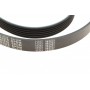 Ремінь генератора Audi A4 1.6-2.0 00-08 (6PK1570)