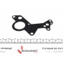 Комплект прокладок (верхній) Audi A3/VW Caddy/Skoda Octavia 1.9TDI/2.0TDI 01- (BLS/BMM) (без ГБЦ)