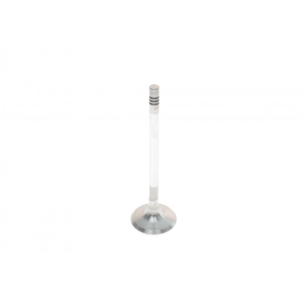 Клапан (випуск) Opel Astra G/Insignis A/Vectra B/C/Zafira A/B (30.1x6x101)