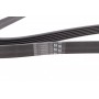 Ремінь генератора VW LT 2.8TDI 97-06/Ford Transit 2.2TDCi 11-14/Citroen Jumper 2.2HDi 11-