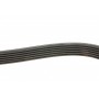 Ремінь генератора Volvo C70/S60/S70/S80/XC90 2.0-3.8 98-20