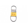 Ремінь генератора Toyota Avensis/Camry/Rav 4 1.8/2.0 83-00/Honda Civic 1.4-1.6 88-95