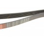 Ремінь генератора Toyota Premiva 2.4 00-06