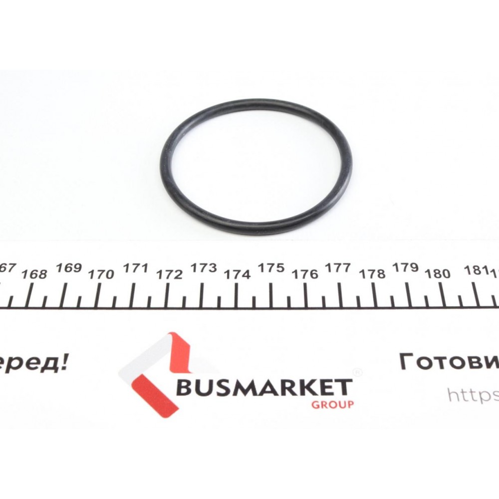 Корпус термостата Ford Transit 1.8TDCi/2.5TD 91-13 (пластик) (замінено на 90066)