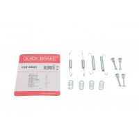 Комплект пружинок колодок ручника VW T5 03-/BMW 3 (E46)/5 (E60)/X5 (E53)/X6 (E71) 96-17