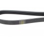 Комплект ременя генератора Peugeot Boxer/Citroen Jumper 2.8D/HDi 99- (5PK1100)