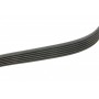 Ремінь генератора Audi A3/Skoda Octavia/VW Passat B8 1.6TDI/2.0TDI 12-/Caddy 2.0TDI 15- (6PK799)