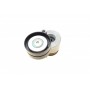 Натяжник ременя генератора Renault Scenic/Megane II/III 1.9dCi/2.0 16V 03-