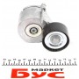 Натяжник ременя генератора Citroen Berlingo/Peugeot Partner 1.6HDi 06- (53x25)