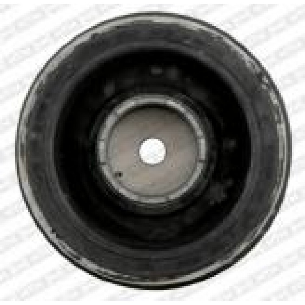 Шків колінвалу BMW 1/3/5/X3 2.0D 02- (4PK+6PK) (замінено на DPF350.01K1)