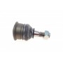 Опора кульова (передня/знизу) Nissan Primera/Sunny 86-02/Almera II 00-
