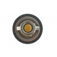 Термостат Renault Koleos/Laguna III/Megane III 2.0 16V 07-