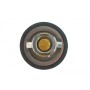 Термостат Renault Koleos/Laguna III/Megane III 2.0 16V 07-