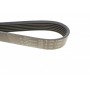 Ремінь генератора Citroen Berlingo/Fiat Ducato 1.8/1.9D /Citroen Jumper 3.0HDI 96- (6PK1160)