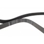 Ремінь генератора Audi A8 3.0i 03-06/Lexus GS/IS 3.0/3.5 00-11/Ford Fiesta 1.25-1.6 94-02