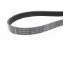 Ремінь генератора Toyota Hilux 2.5D 05-15 (7PK1515)