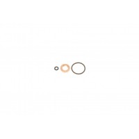 Ремкомплект форсунки Volvo C30/C70/S40/S60/S80/V40/V50/V70/XC60/XC70 2.0D/2.4D 08-18