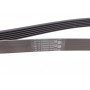 Ремінь генератора Skoda Fabia/VW Passat B6/B7 09-14/Citroen Berlingo/Peugeot 98-/BMW/Chevrolet 11-