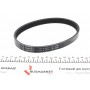Ремінь генератора VW Golf V/Passat/Touran 1.4TSI 05-