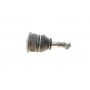 Опора кульова (передня/знизу) Nissan Primera/Sunny 86-02/Almera II 00-