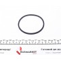 Фільтр масляний Citroen C5/Peugeot 407 2.7HDI 05-
