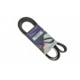 Ремінь генератора Fiat Scudo/Citroen Berlingo/VW Golf IV 1.8/1.9TDI 97- (6PK1658)