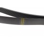 Ремінь генератора BMW 3 (F30/F80)/5 (F10)/ X5 (F15/F85)/ X6 (F16/F86) 13- (8PK1395) (N55)